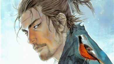 Vagabond Manga