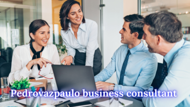 Pedrovazpaulo Business Consultant