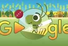 Google Doodle Cricket