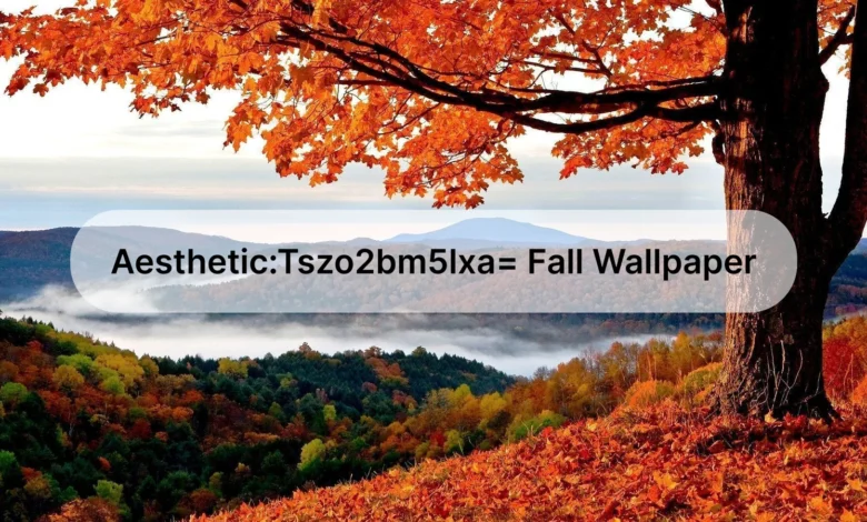 aesthetic:tszo2bm5lxa= fall wallpaper