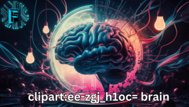 clipart:ee-zgj_h1oc= brain