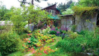 Permaculture Garden