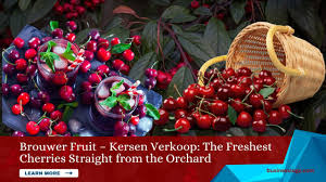 brouwer fruit - kersen verkoop